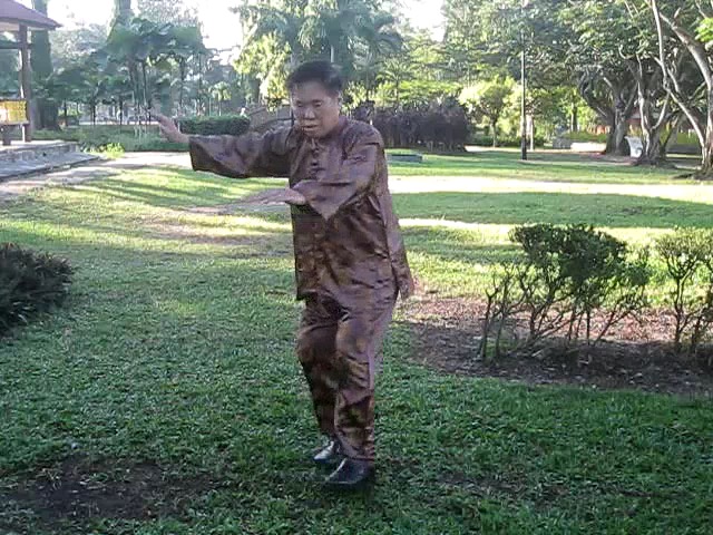 Sun Style Taijiquan